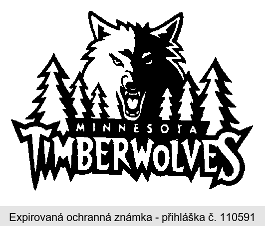 MINNESOTA TIMBERWOLVES