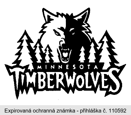 MINNESOTA TIMBERWOLVES