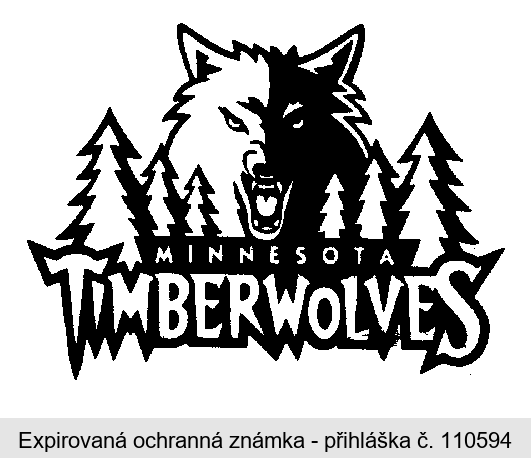 MINNESOTA TIMBERWOLVES