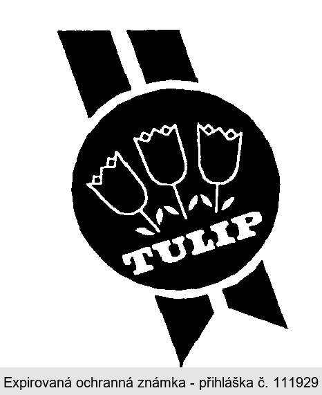 TULIP