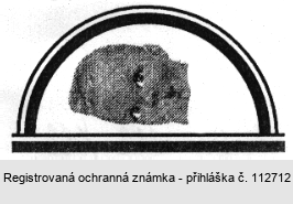 Ochranná známka