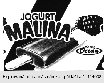 JOGURT MALINA Oceán