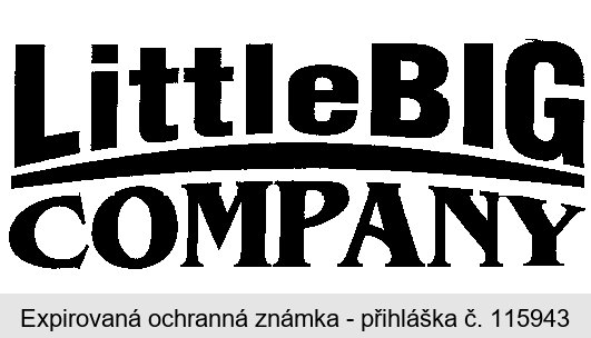 LittleBIG COMPANY