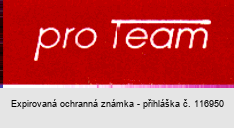 pro Team