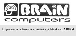 BRAIN computers