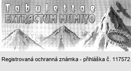 TABULATTAE EXTRAKTUM MUMIYO ARKHAR - TASH KRV SKÁL
