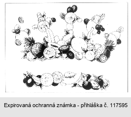 Ochranná známka