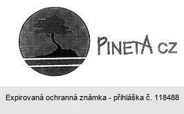 PINETA CZ