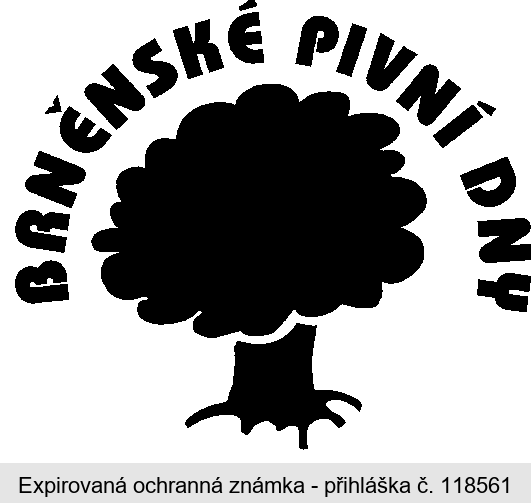 BRNĚNSKÉ PIVNÍ DNY