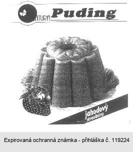 NATURA Puding jahodový strawbërry