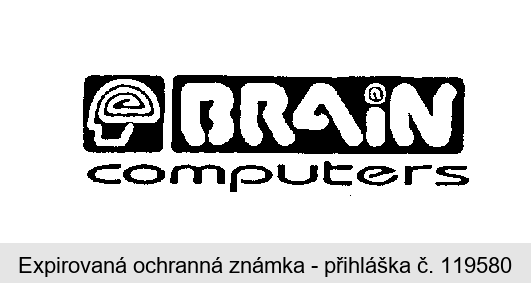 BRAIN computers