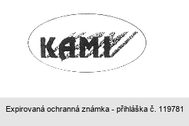 KAMI