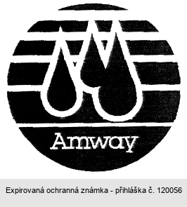 Amway