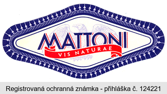 MATTONI VIS NATURAE