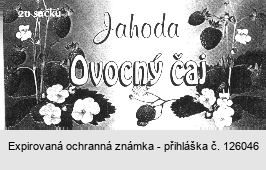 Jahoda Ovocný čaj