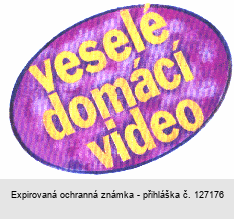 veselé domácí video