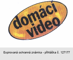 domácí video