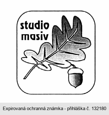 studio masiv