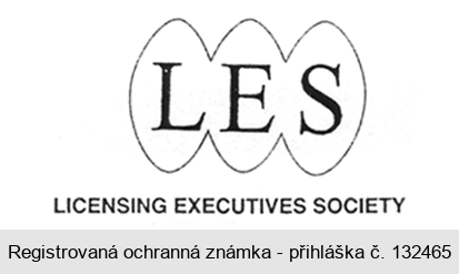 LES LICENSING EXECUTIVES SOCIETY
