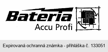 Bateria Accu Profi