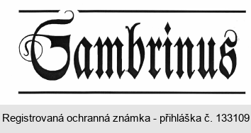 GAMBRINUS