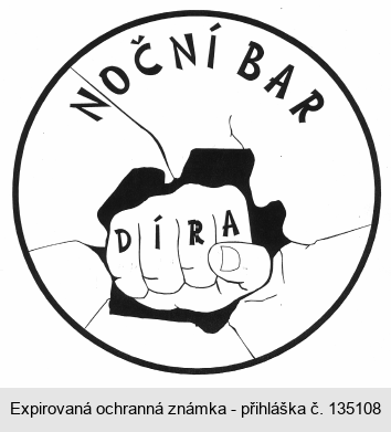 NOČNÍ BAR DÍRA