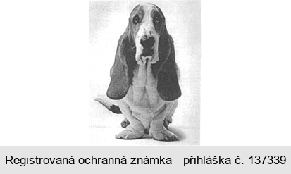 Ochranná známka