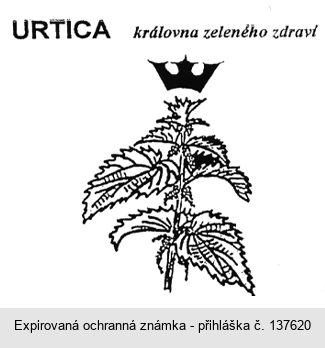 URTICA královna zeleného zdraví
