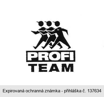 PROFI TEAM