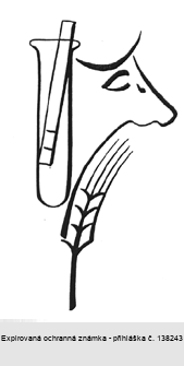 Ochranná známka