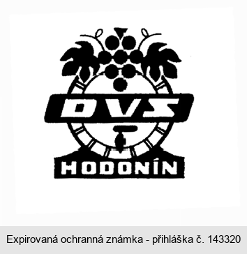 DVS HODONÍN