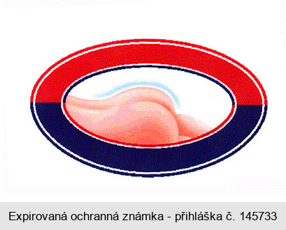 Ochranná známka