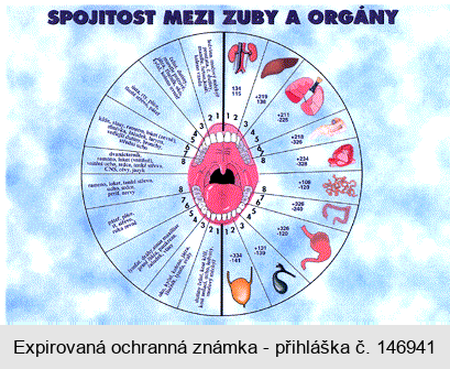 SPOJITOST MEZI ZUBY A ORGÁNY