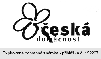 česká domácnost