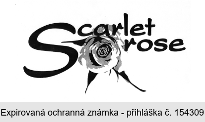 Scarlet rose