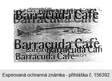 Barracuda Café