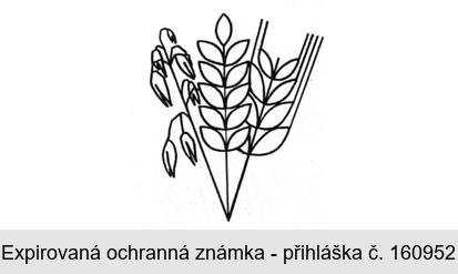 Ochranná známka