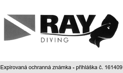 RAY DIVING