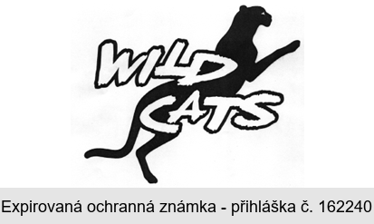 WILD CATS