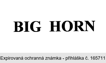 BIG HORN