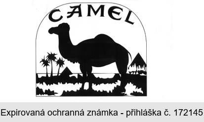 CAMEL