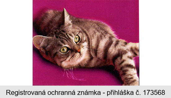Ochranná známka