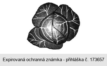 Ochranná známka