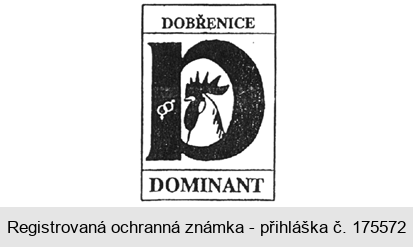 DOBŘENICE D DOMINANT