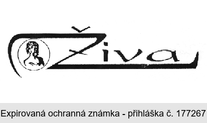 Živa