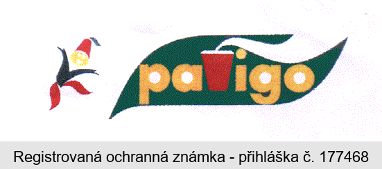 pavigo