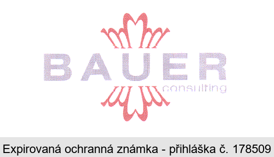 BAUER consulting