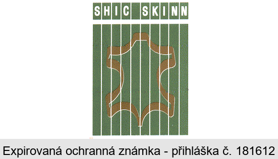 Shic Skinn