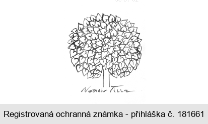 Nobilis Tilia