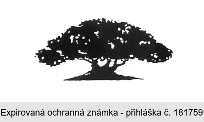 Ochranná známka